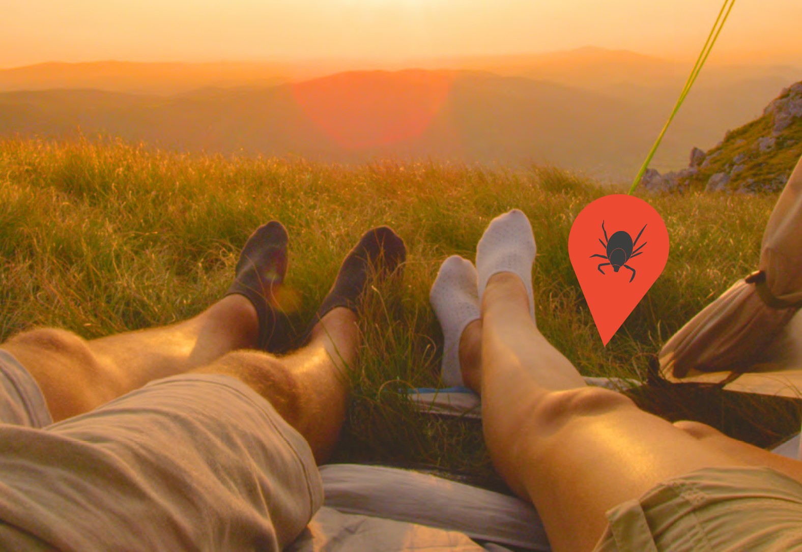 FSME-Zecke-Rasen-Wanderer